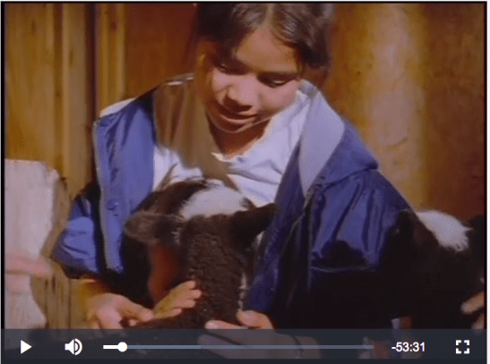 Screen Shot 2017-03-21 at 9.46.28 AM