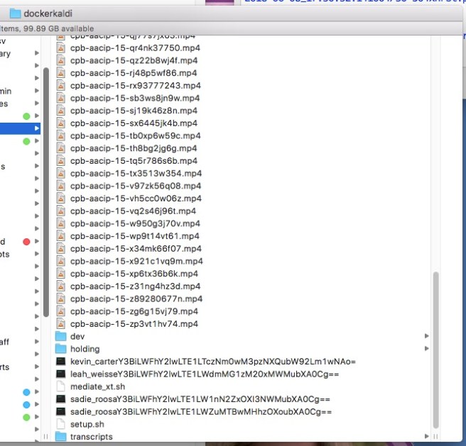 Screenshot of a file directory with many .mp4 files, a few folders, and a few files named with base64 encoded strings