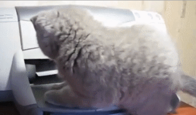 catvprintergif